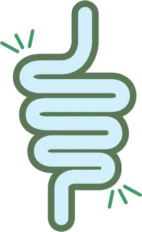 Diagram showing the benefits of Belly Balance: Immunity, Weight Loss, Digestion, and Gut Health